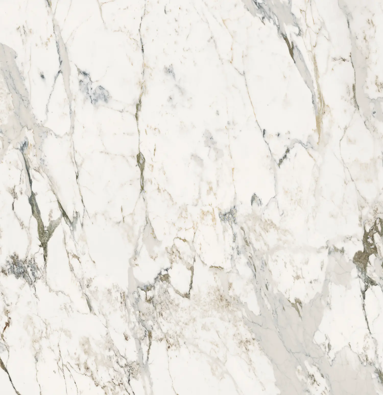 Marmerlook Calacatta Capraia wit